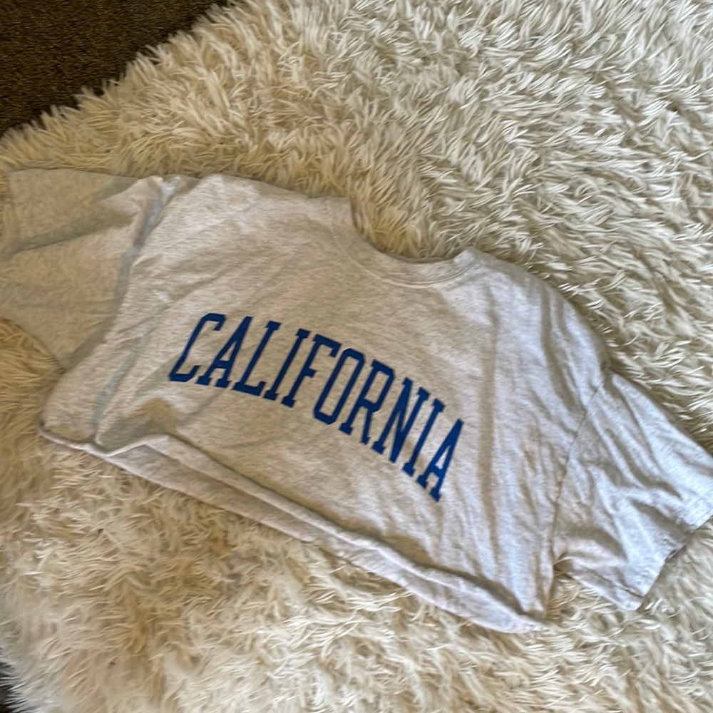 Brandy Melville Crop Top
